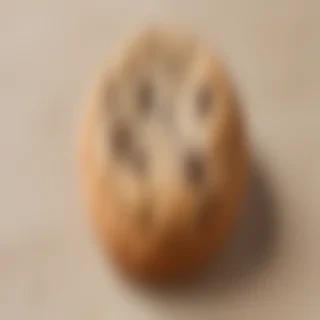 chocolate chip cookie png