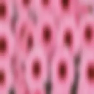 pink flower transparent background