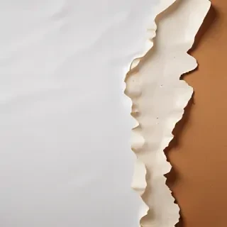 torn paper texture