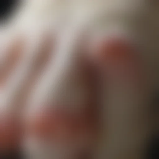 cat paw