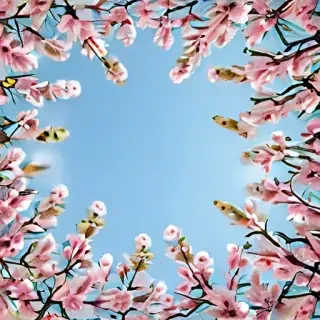 springtime wallpaper