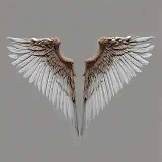 angle wings png