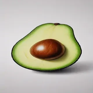 avocado drawing