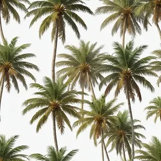 palm trees png