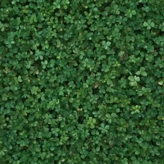 clover png