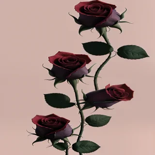 rose wallpapers aesthetic