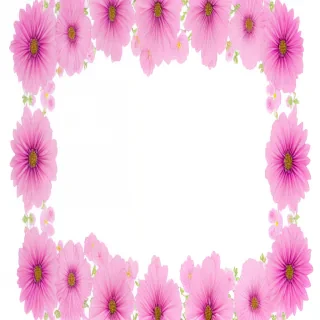 aesthetic flowers transparent background