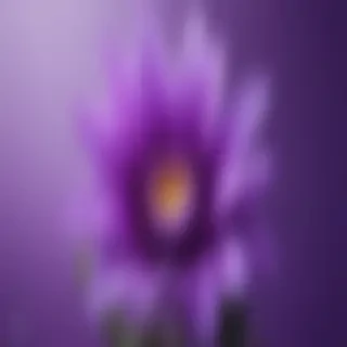 cute wallpapers purple