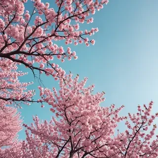 aesthetic spring wallpaper