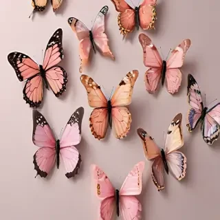 aesthetic butterflies