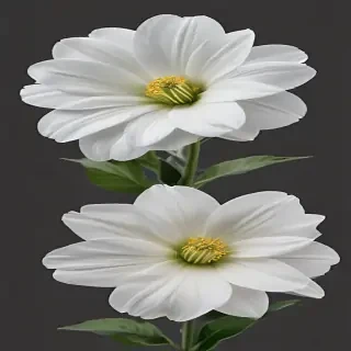 white flower png