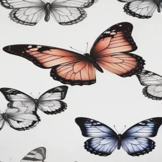 drawing butterflies