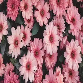 cute aesthetic flower wallpaper