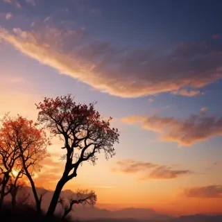 simple wallpapers