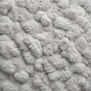 white gray background