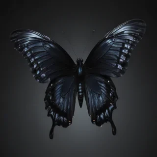 black butterfly png