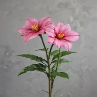 flores png