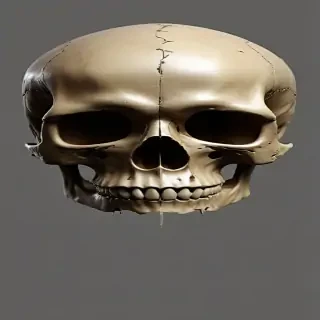 png skull