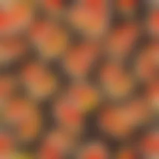 pizza cartoon image