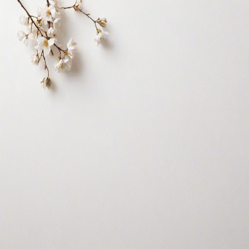 white background aesthetic