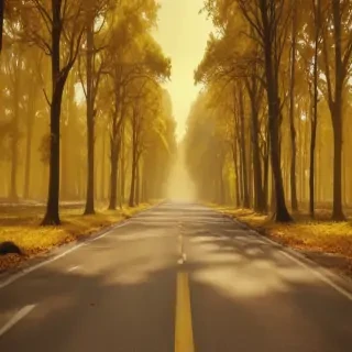 aesthetic yellow bg