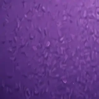 aesthetic wallpapers iphone purple