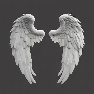 png angel wings