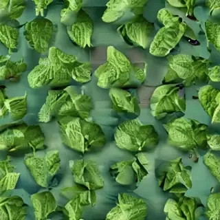 mint background