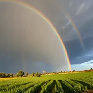 double rainbow