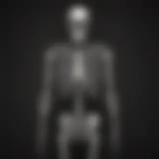 skeleton iphone wallpaper