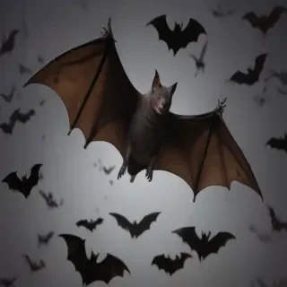 images of halloween bats