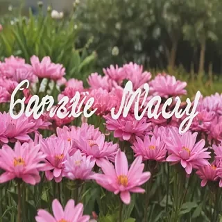 hello may images