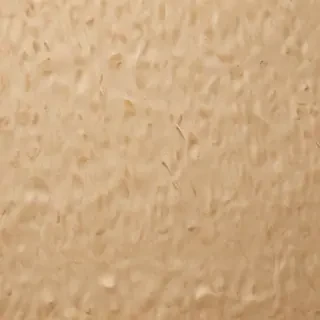 grain paper texture