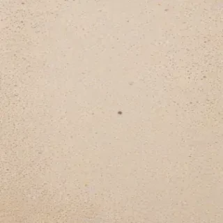 iphone neutral wallpaper