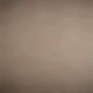 canvas texture overlay