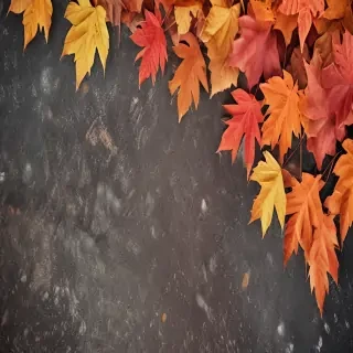 autumn background iphone