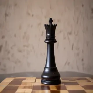 rook chess
