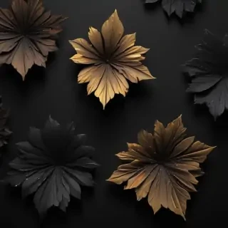 black wallpaper for iphone
