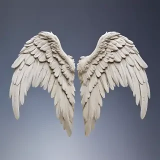 angel wing images