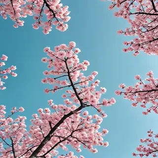 spring aesthetic wallpaper