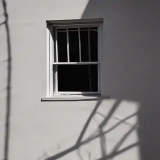 shadow window