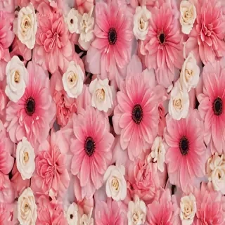 aesthetic flower backgrounds