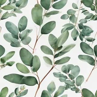 transparent eucalyptus clipart