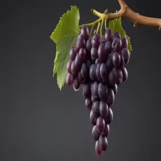 grape png
