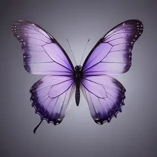 transparent purple butterfly
