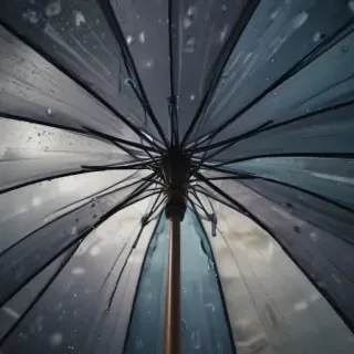 umbrella png