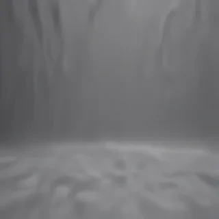 plain grey background