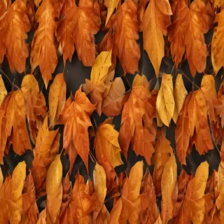 fall leaves png transparent