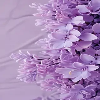 lilac aesthetic