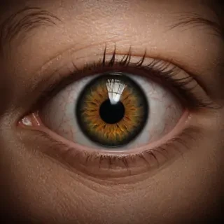 evil eyes png